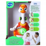 Hola Swing Goose With Light/Music/Electric Universal 
