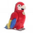 Aurora Macaw Parrot 11