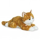 Aurora Chester Cat 12