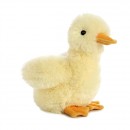 Aurora Duckling 8